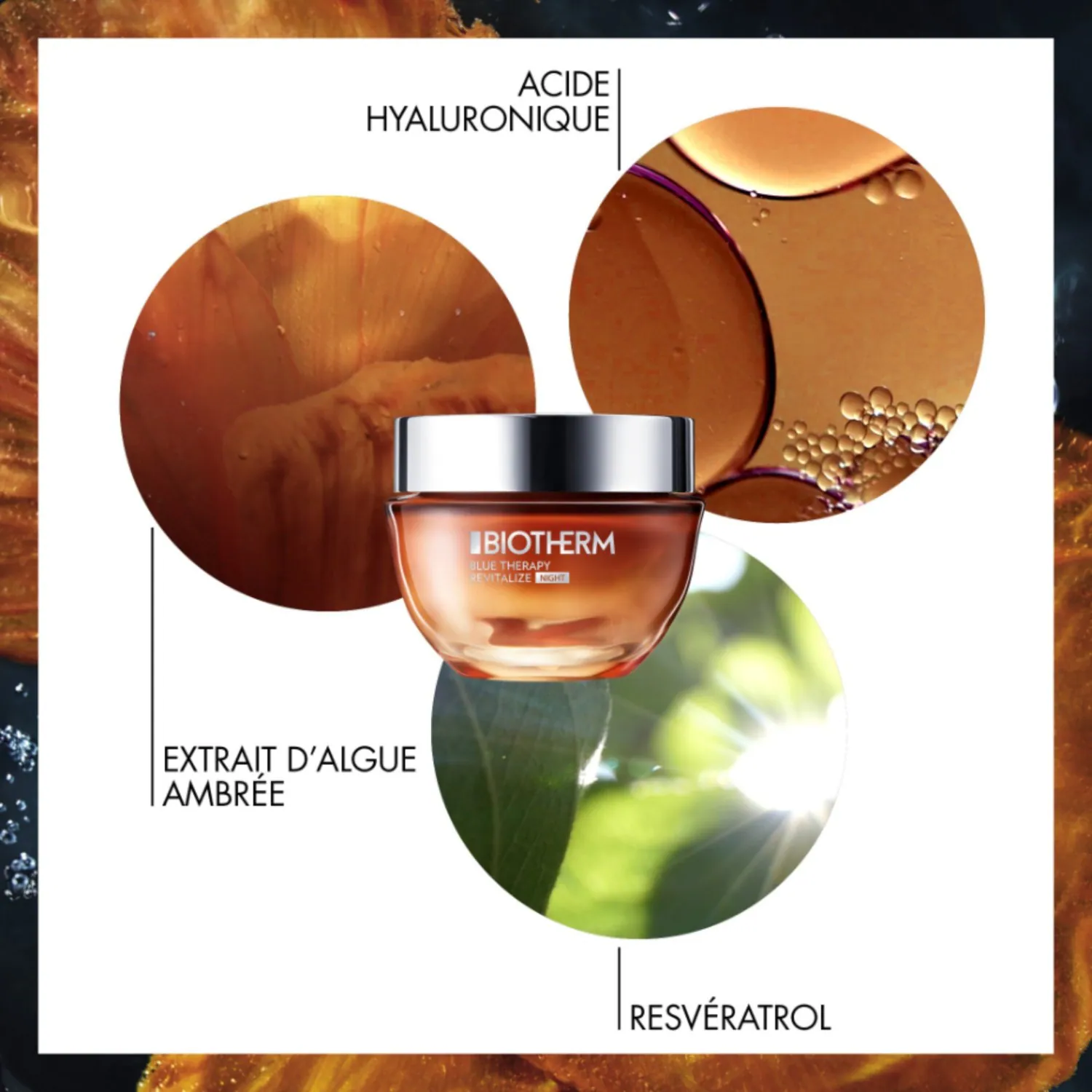 Biotherm Crème De Nuit Nutrition Et Éclat
