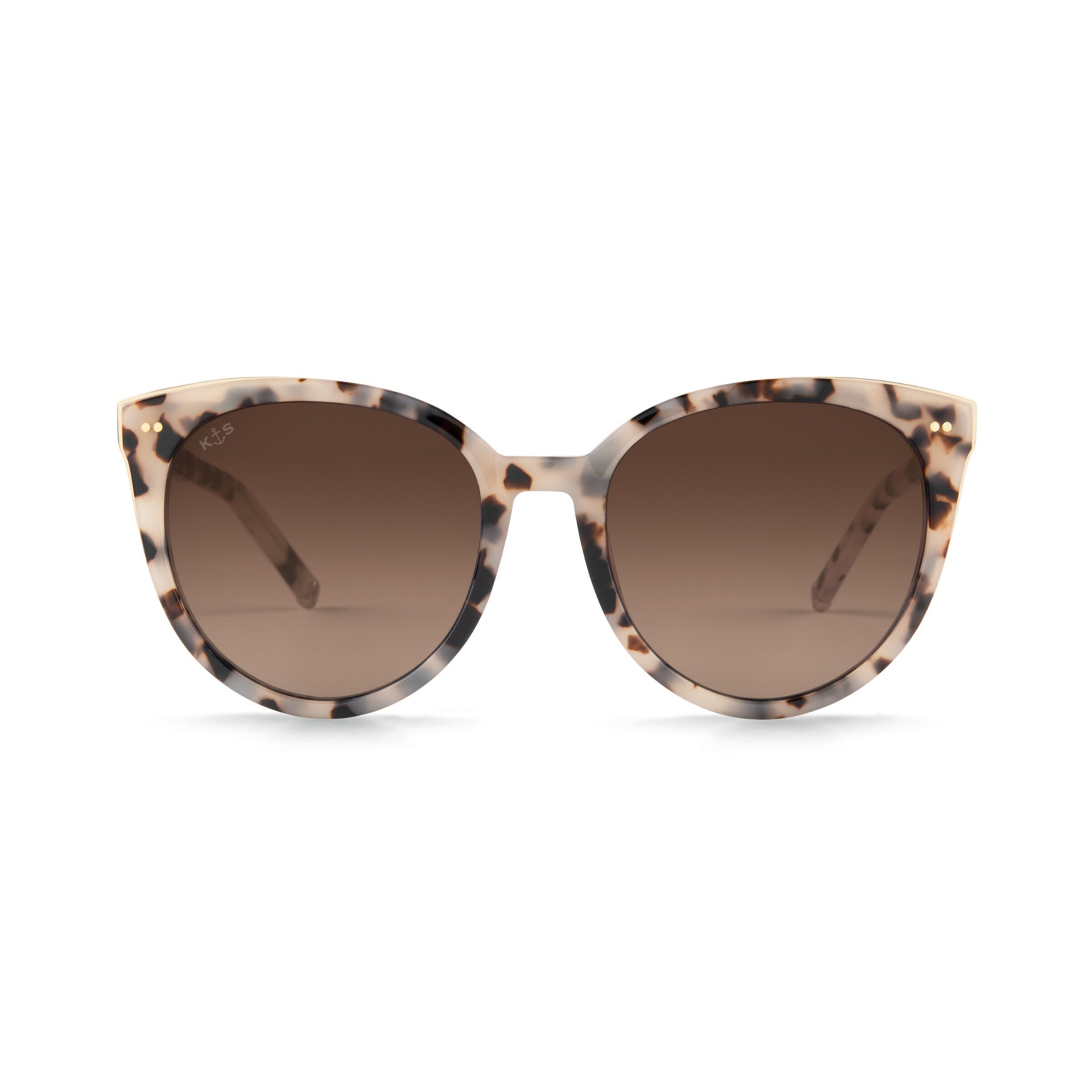 Tortue des sables de Manhattan brune