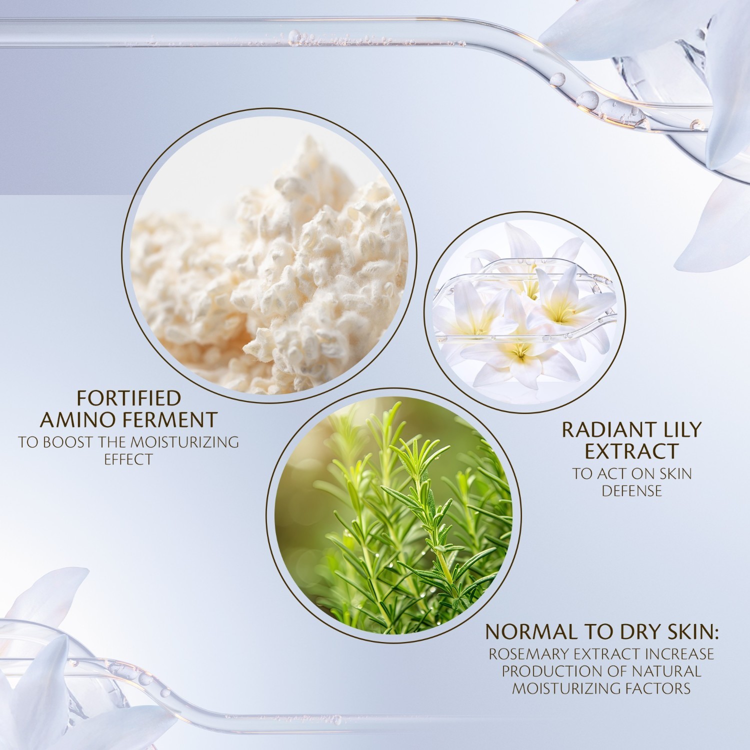 Clé de Peau Beauté Gesichtslotion Key Radiance Care Hydro-Softening Essence Lotion – 170 ml