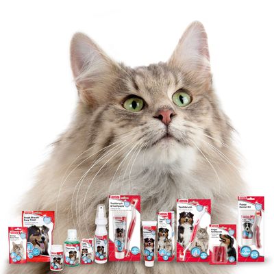 Beaphar Dental Easy Treats
