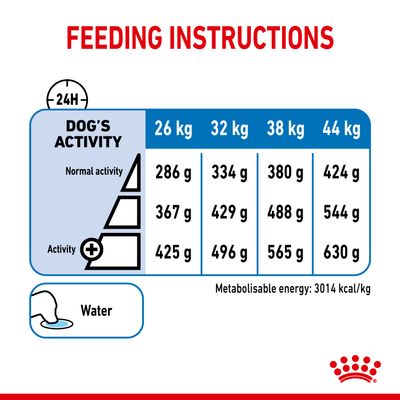 Royal Canin Maxi Leichtgewicht Pflege