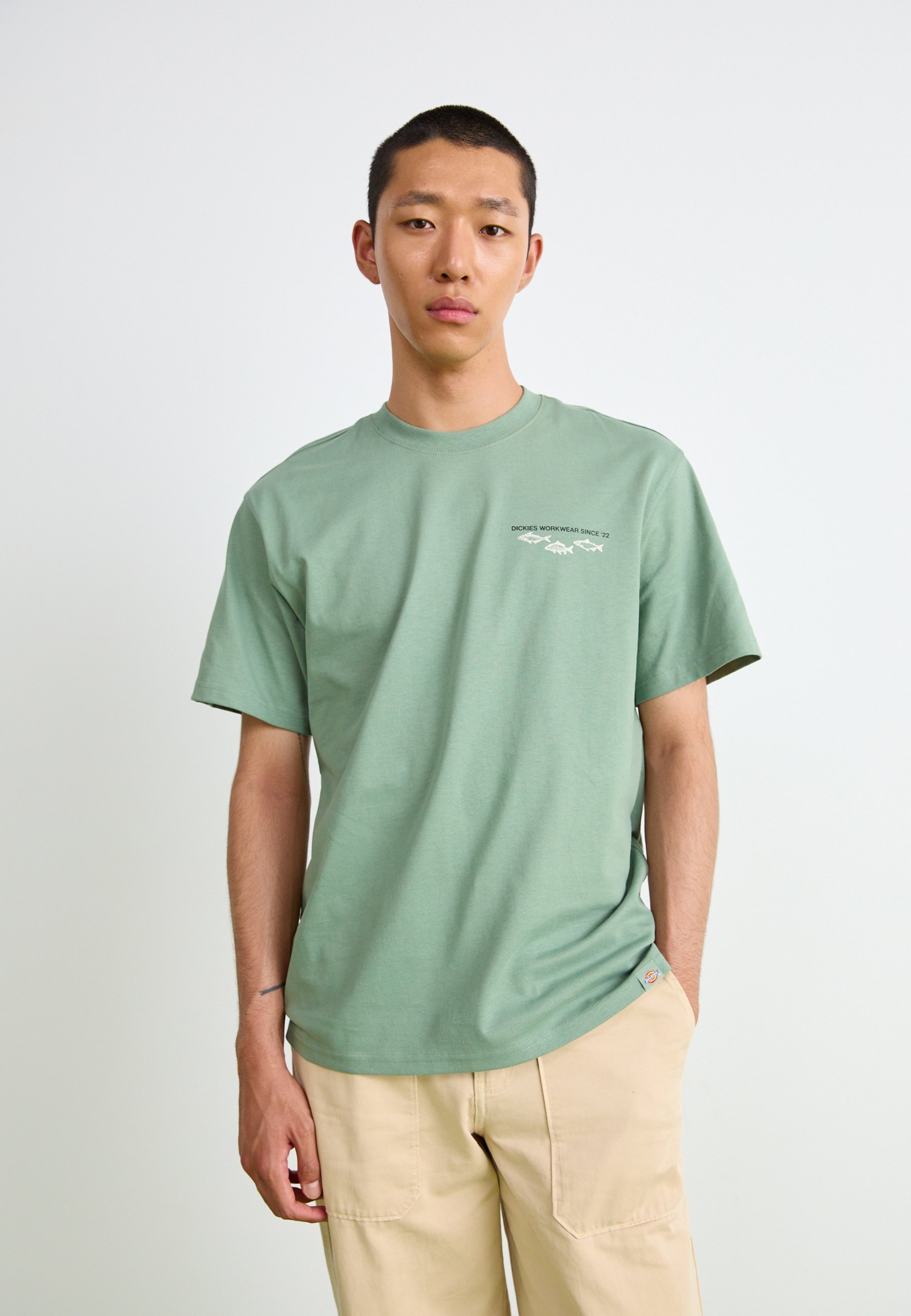 T-shirt stampate Dickies