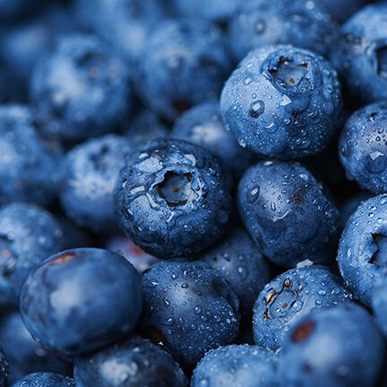 Sessio Hery av Berry