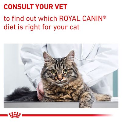 Royal Canin Expert Feline - Kastrert metthetsbalanse