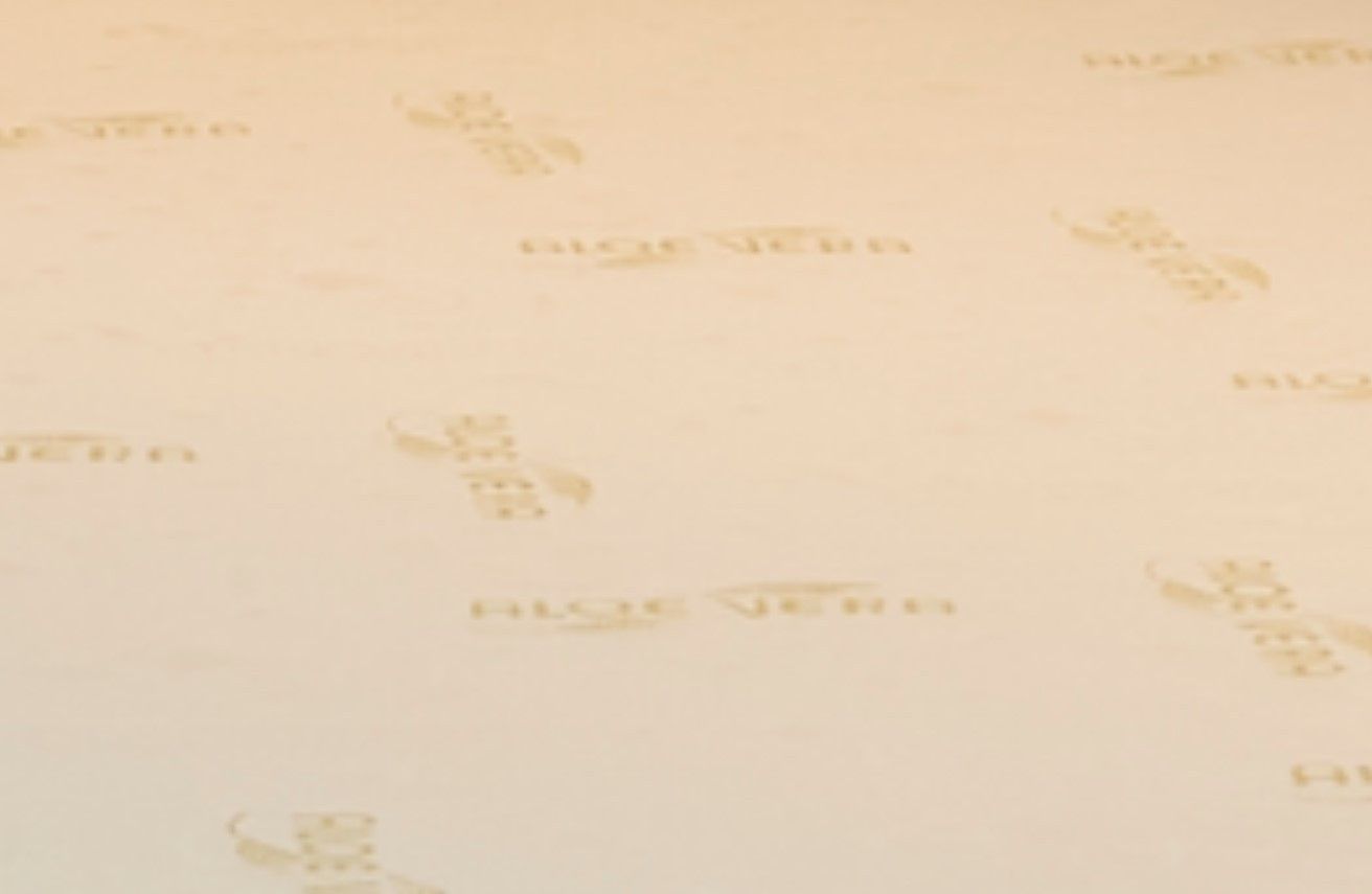 Mattress Topper - Extra Soft - 90x190 cm - 5 cm Thick - Hypoallergenic - Aloe Vera