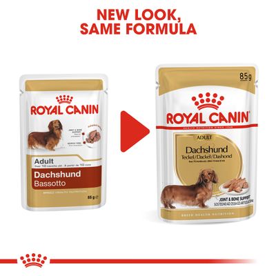 Patê Royal Canin Dachshund