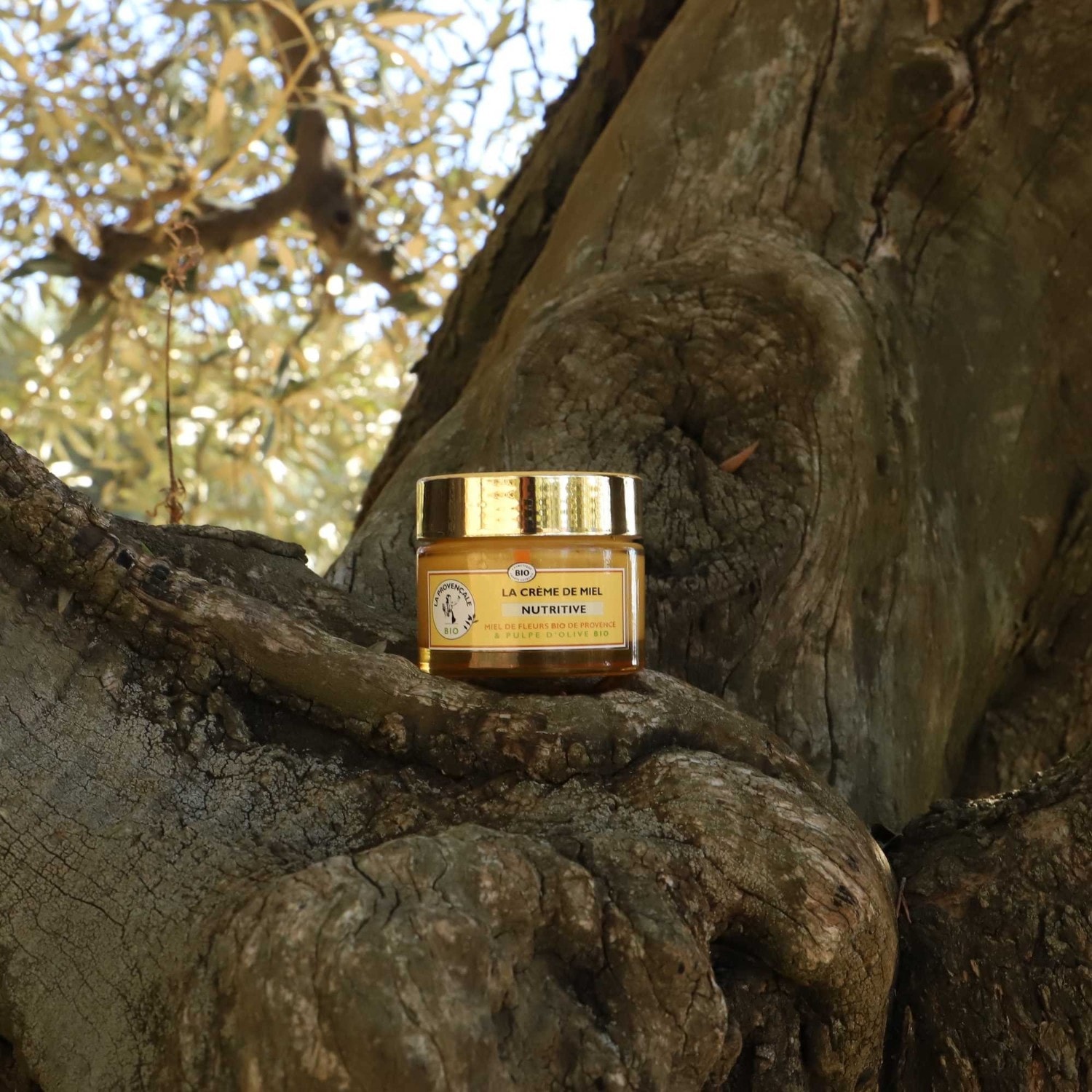 La Provençale La Crème de Miel Nutritive certifiée bio