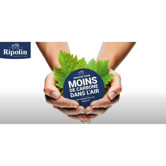 RIPOLIN EXTREME BESCHERMING GEVEL STEENTONE Mat 10 L