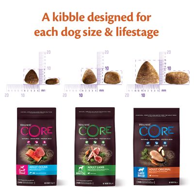 Alimento secco per cani adulti Wellness Core, tutte le razze, al gusto agnello.