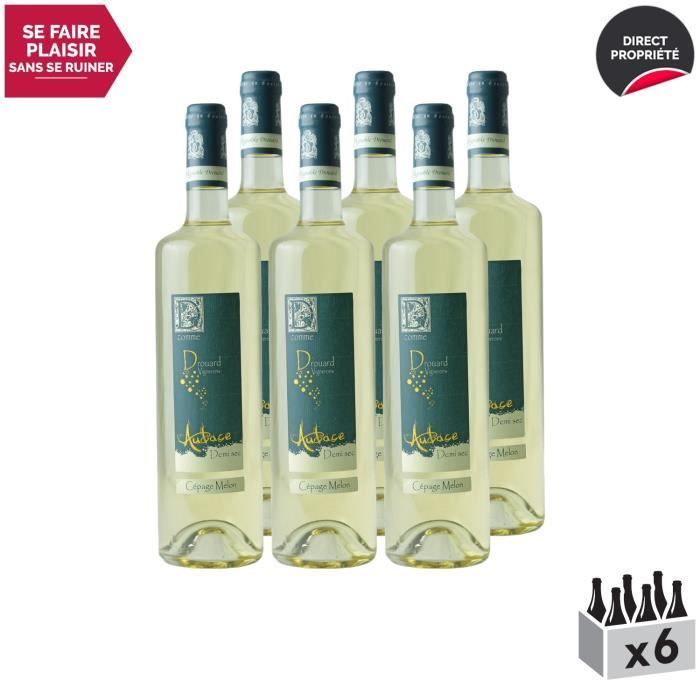 Val de Loire Audace Demi-Sec Blanc - Lot de 6x75cl - Vignoble Drouard - Vin IGP Blanc du Val de Loire - Cépage Melon de Bourgogne
