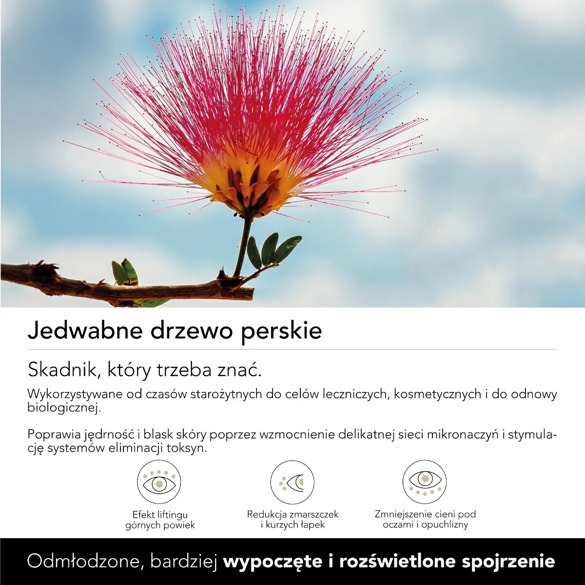 Bella Aurora Eyes Protect Anti-Dark Spots Korygujący krem pod oczy
