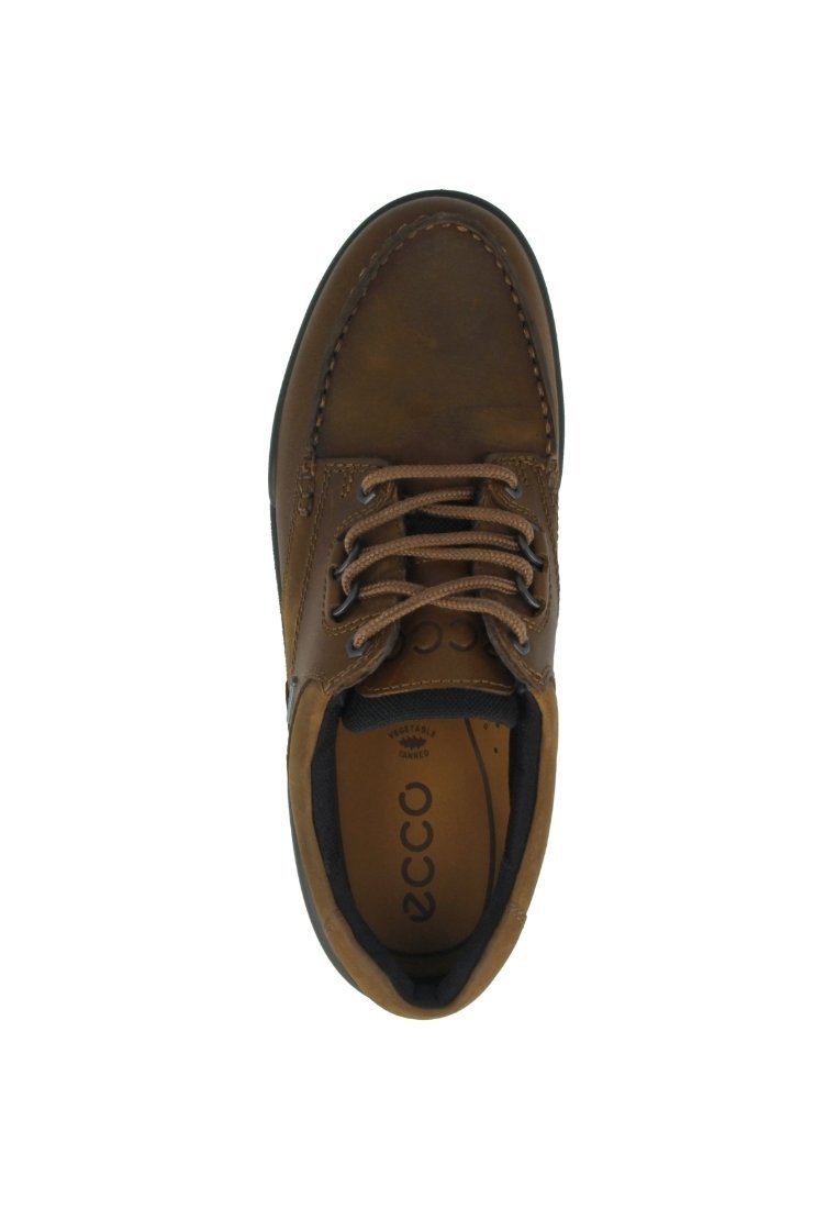 ECCO TRACK 25 LOW GTX - Wandelschoenen - bizon