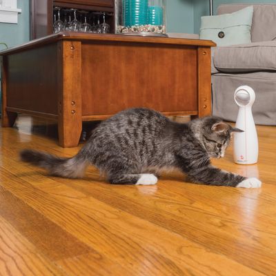 Παιχνίδι για γάτες PetSafe® FroliCat® Bolt Laser