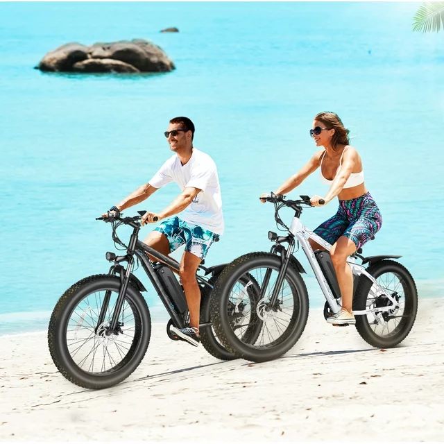 Gocio 26 4.0 Fatbike-Elektrofahrrad für Erwachsene, 500 W E-Bike für Erwachsene, herausnehmbarer 48 V 13 Ah Li-Ion-Akku, professionelle 7-Gang-Schaltung