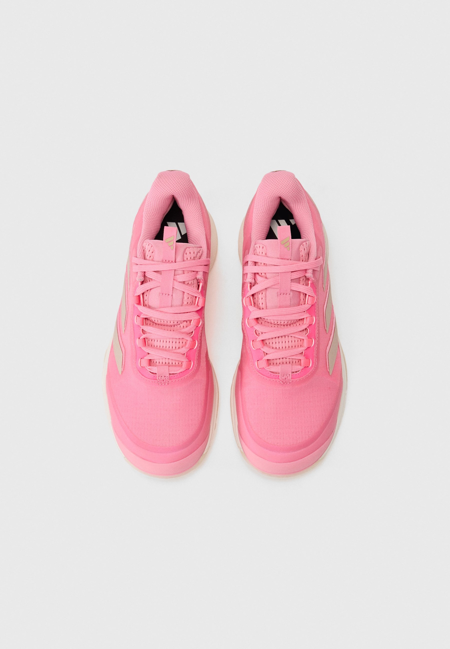 adidas Performance AVACOURT 2 - Multicourt tennisschoenen - bliss pink/zilverkleurig/lucid pink