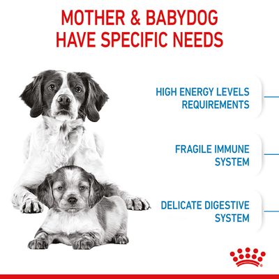 Royal Canin Medium Starter Mamă și Pui