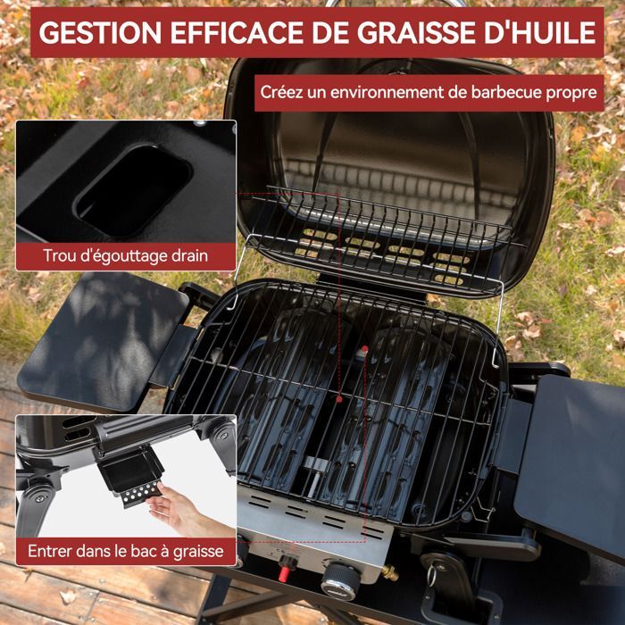 Royal Gourmet draagbare gasbarbecue met afneembare wagen - 2 branders, 5 kW vermogen, kookoppervlak 48 x 37 cm
