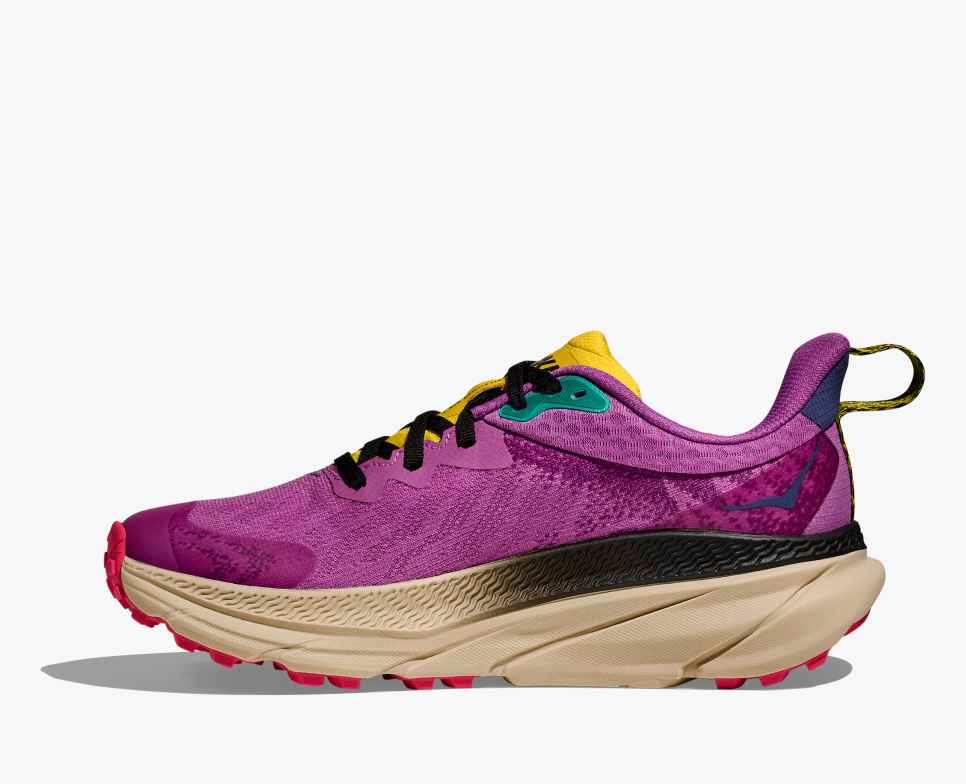 HOKA Challenger 7 GORE-TEX Superbloom / Avena