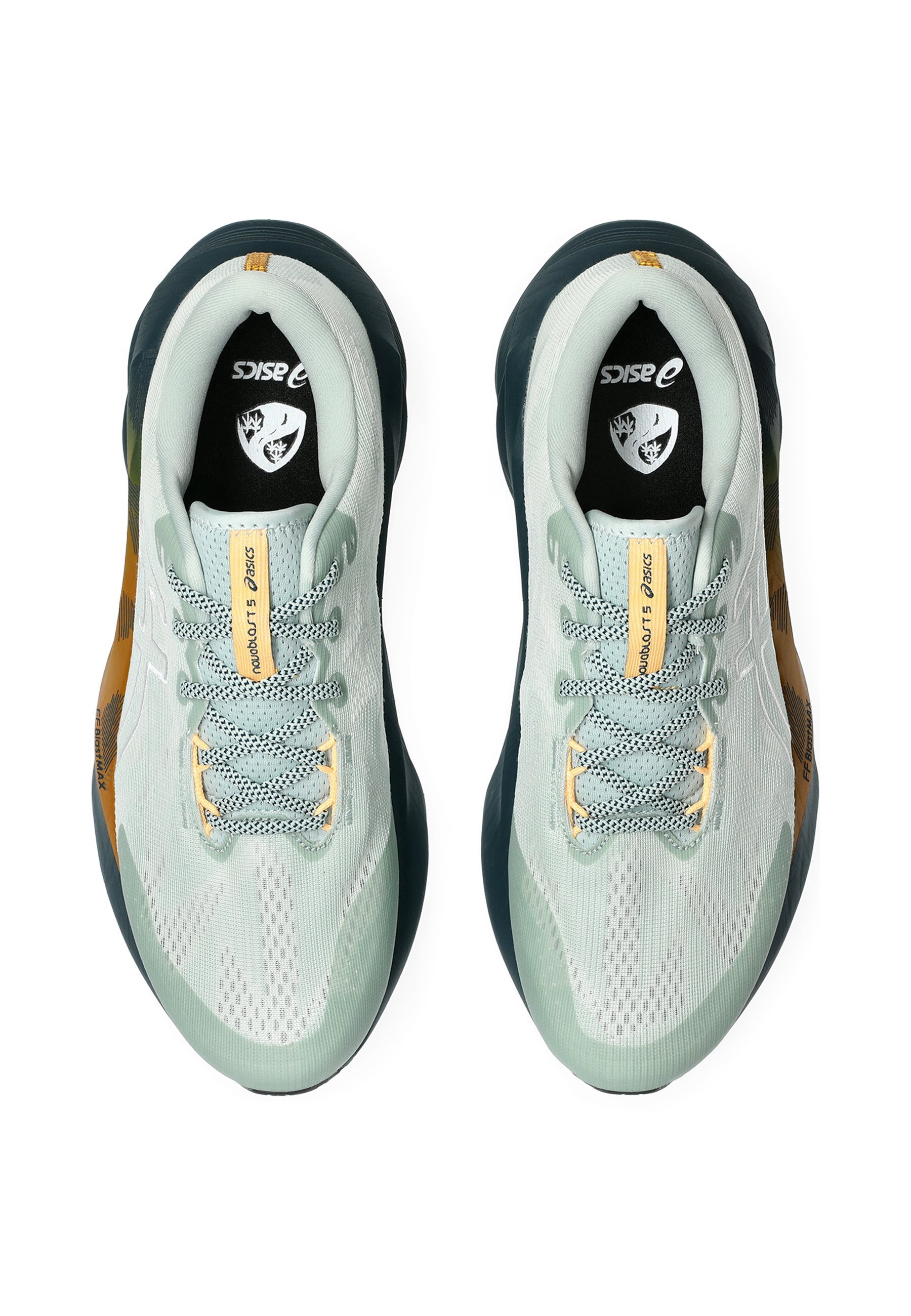 ASICS NOVABLAST 5 TR - Trailrunning schoenen - natuurbaden, korstmos en rots