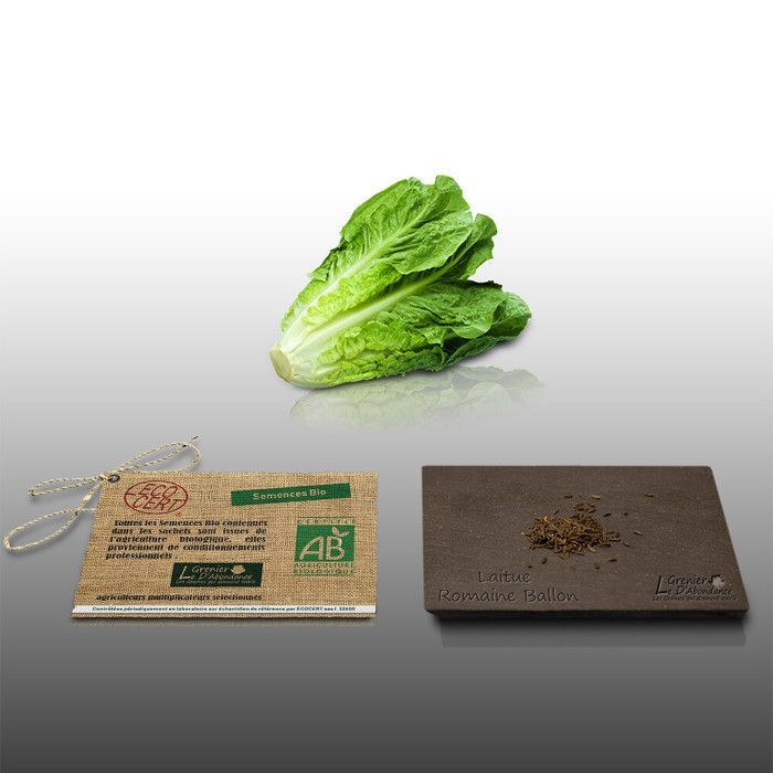 250 semillas orgánicas para sembrar - Le Grenier d'Abondance - Lechuga romana orgánica (Ballon) - Certificada orgánica (AB) - Lactuca