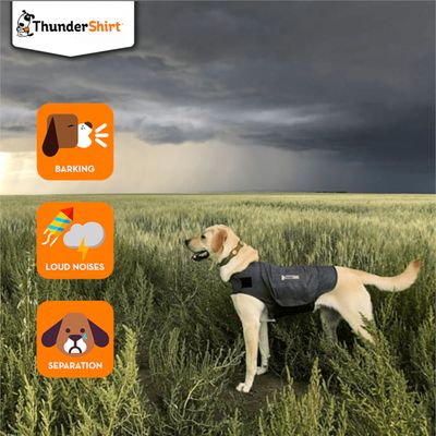 ThunderShirt Hunde-Angstweste - Grau