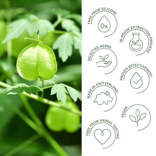 Serum do skóry głowy Rausch Sensitive z nasionami serca 100 ml
