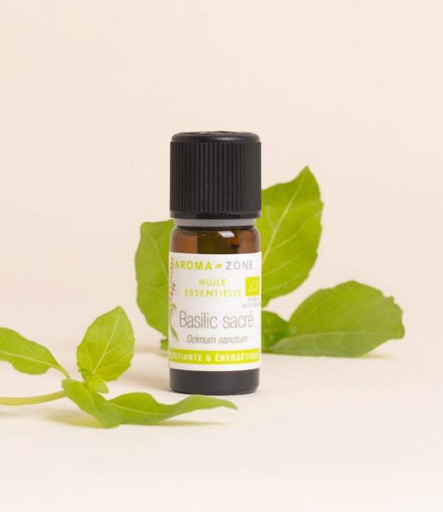 Ätherisches Bio-Heiliges-Basilikum-Öl 10 ml