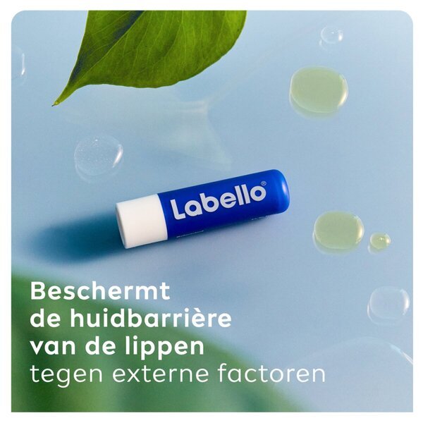 Labello Original balzam za ustnice<br>2 x 4,8 g