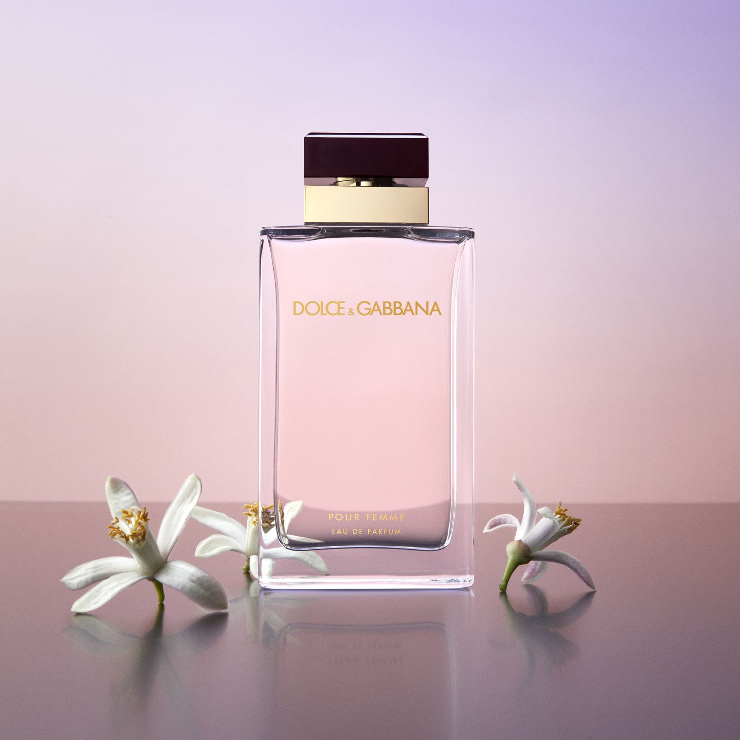 Dolce&Gabbana Pour Femme