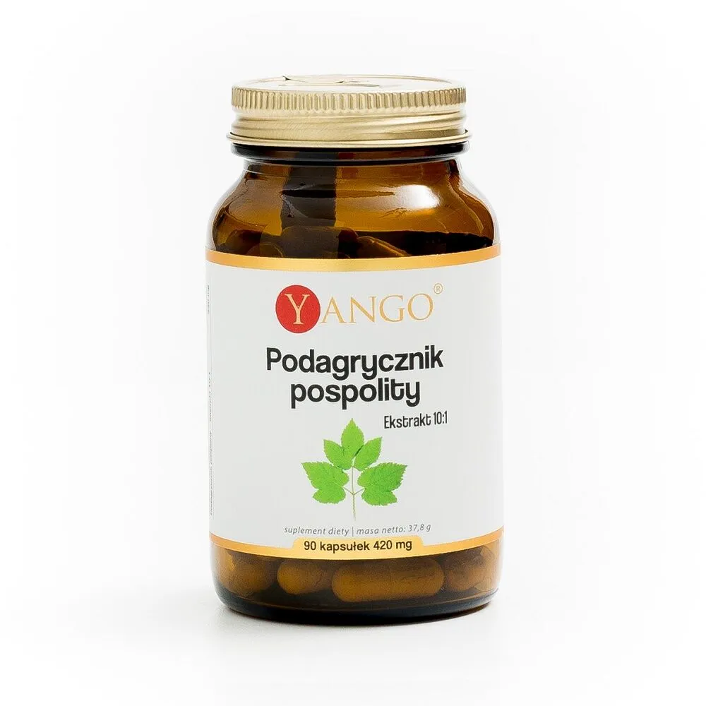 Yango Podagrycznik pospolity Kapsułki