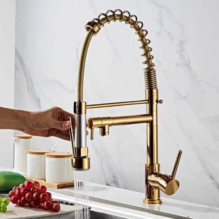 LEYSHOP Robinet de Cuisine - Mitigeur Cuisine à Ressort, Robinet Cuisine Double Sortie, 360° Rotation - Doré