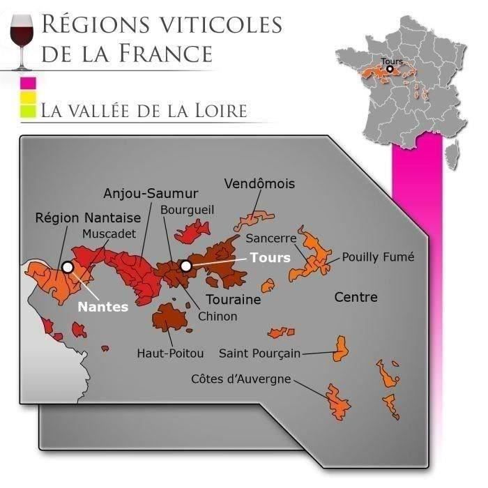 Château Haute Carizière Muscadet Sèvre et Maine - Vino blanco Loira 2021