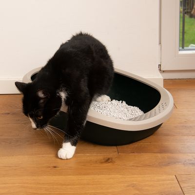 Bac à litière pour chat Kooa - Plastique 100 % recyclé