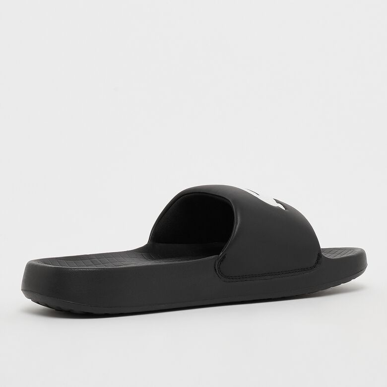 Croco 1.0 123 1 CMAn