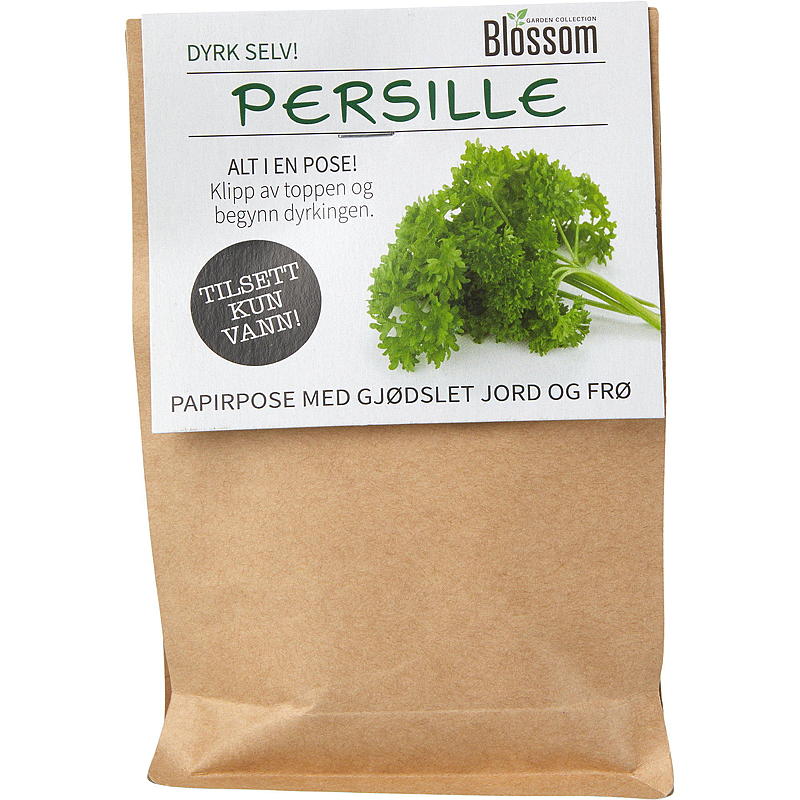 Bolsa de semillas de perejil para flores, Flor