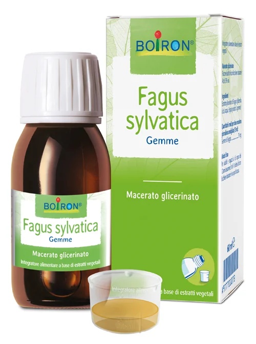 BOIRON Fagus Sylvatica Boi Glycerine Maceraat 60 ml Int.