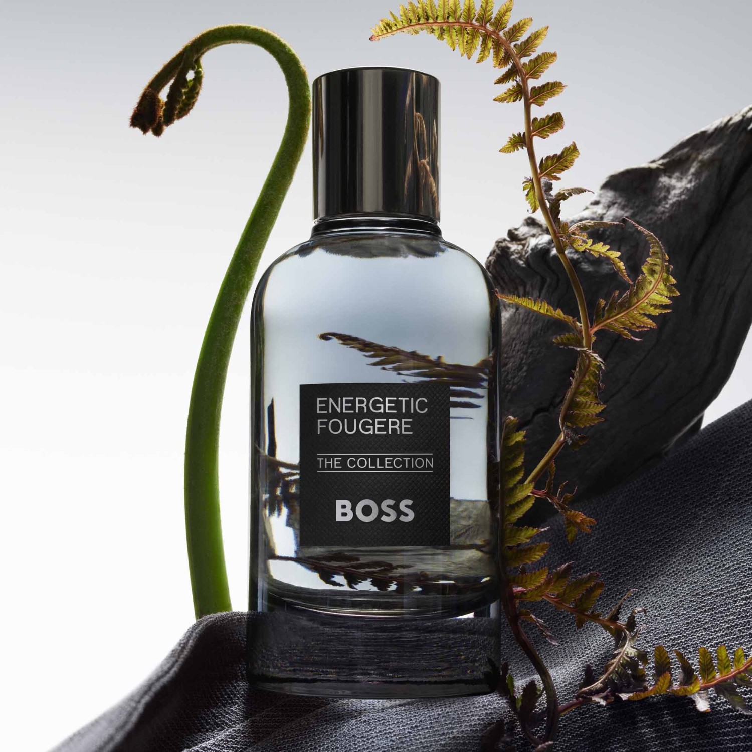 Hugo Boss Energetic Fougère