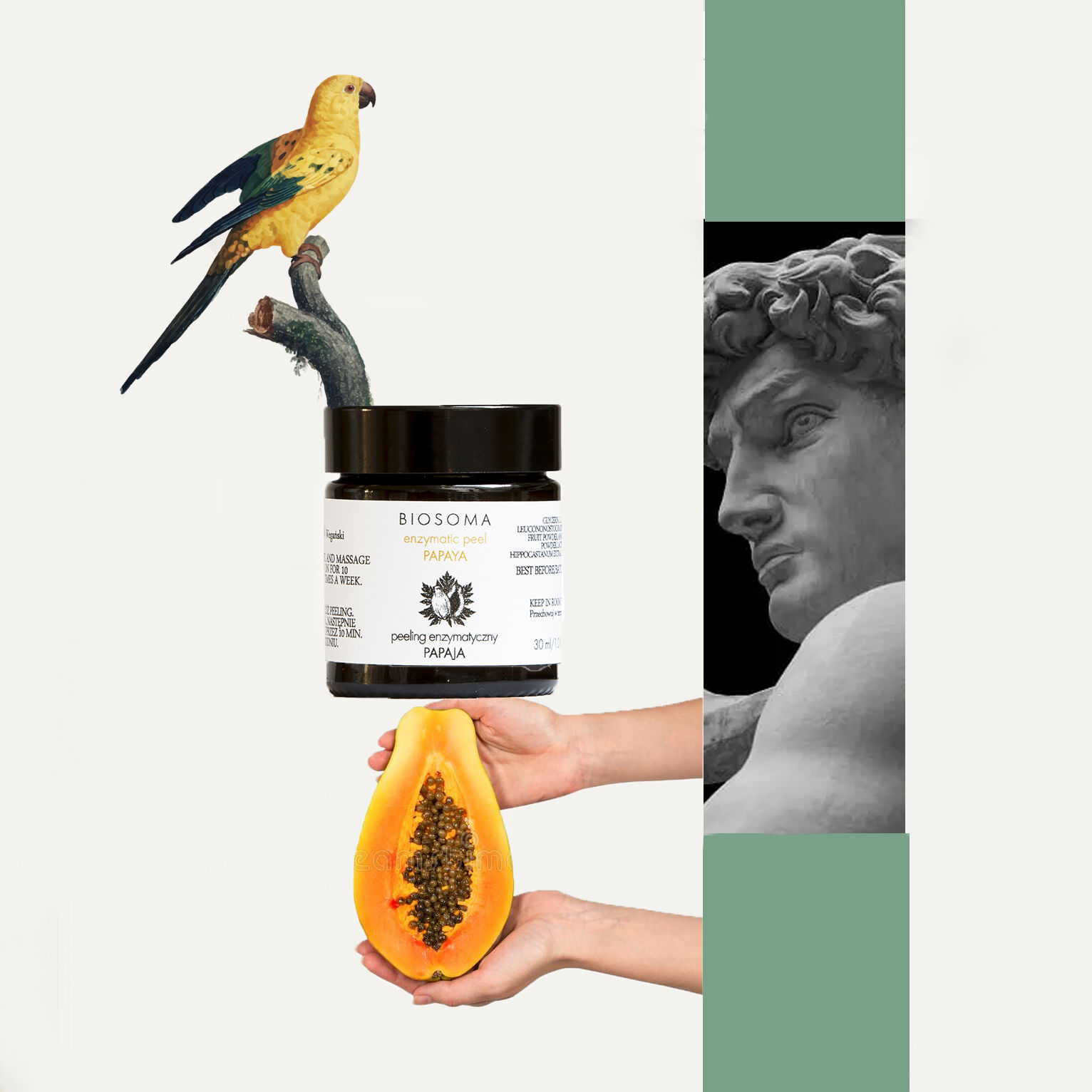 Biosome Raw