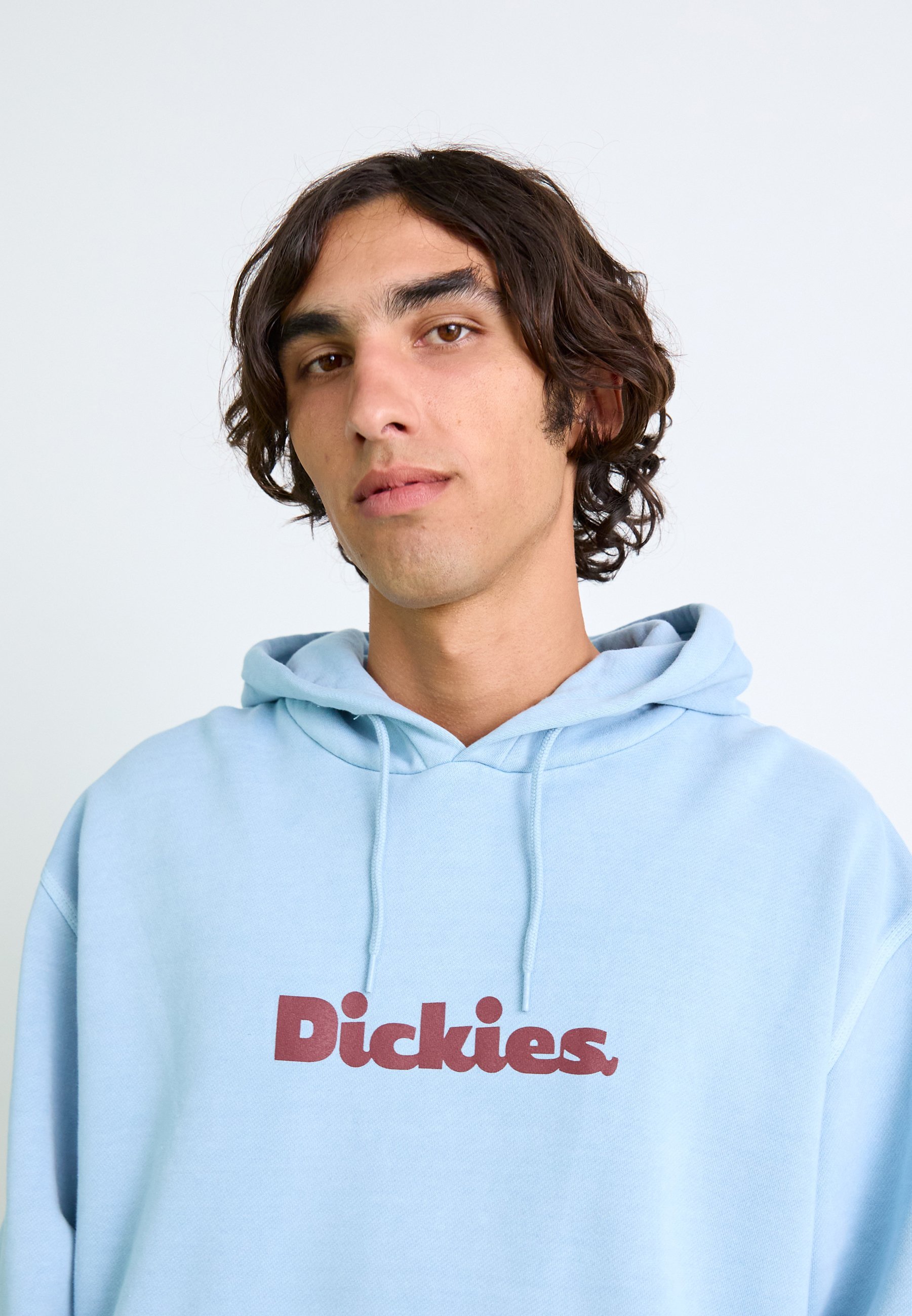 Dickies SLAYDEN HOODIE - Megztinis su gobtuvu - ledynų ežero spalvos