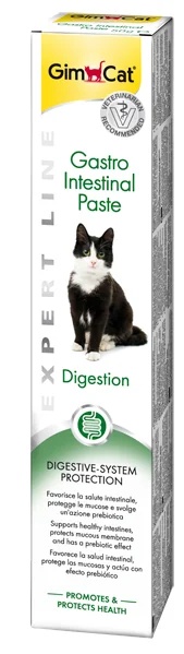 GIMBORN Maag-darmpasta 50 g