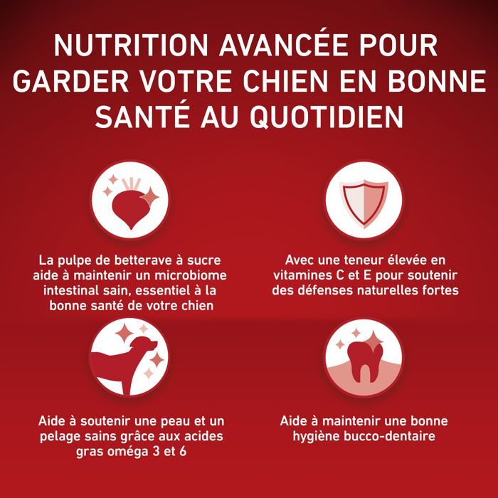 Alimento para perros - PURINA - ONE Medium/Maxi - Rico en pollo - 10 kg - 4 bolsas de 2,5 kg