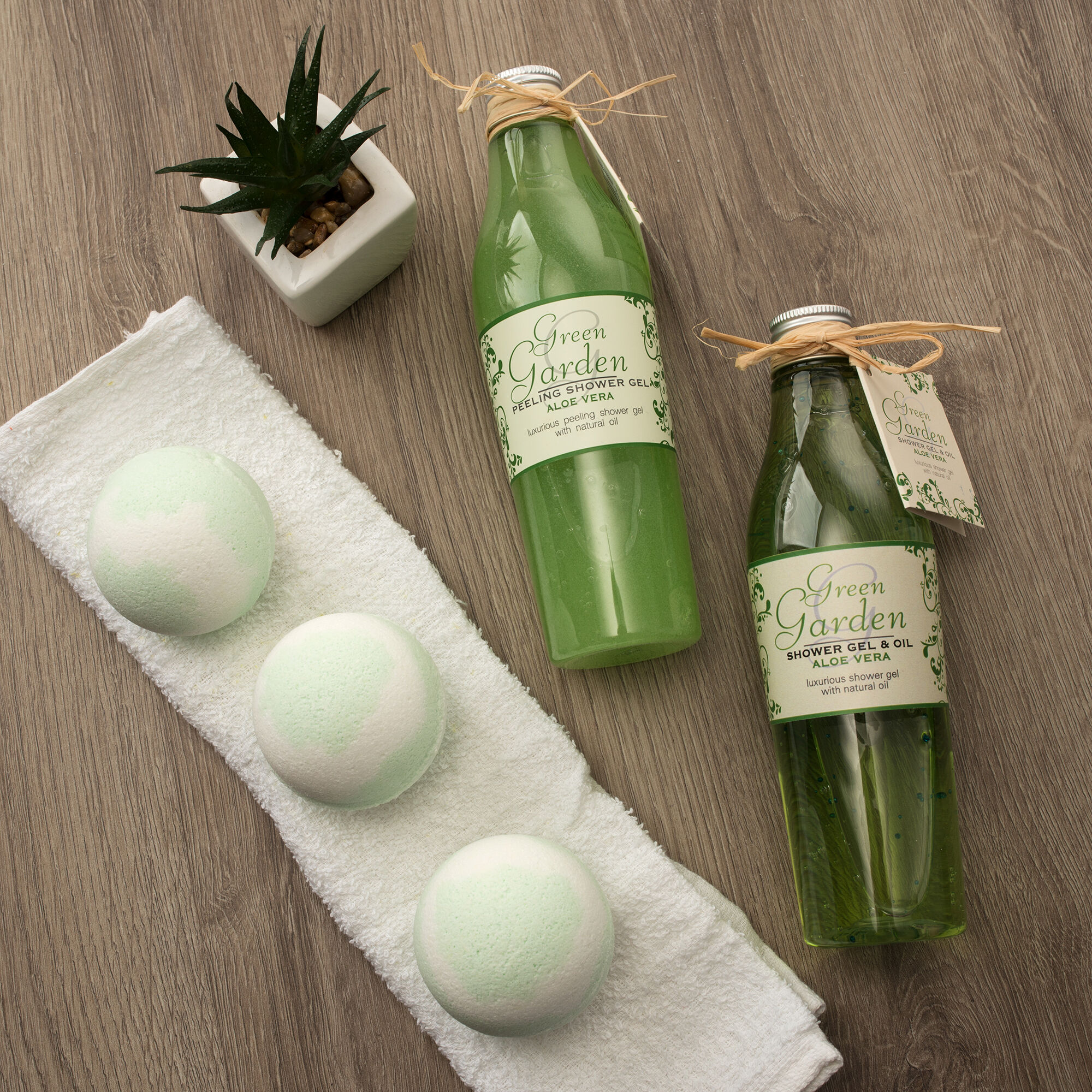 Aloe vera du jardin vert