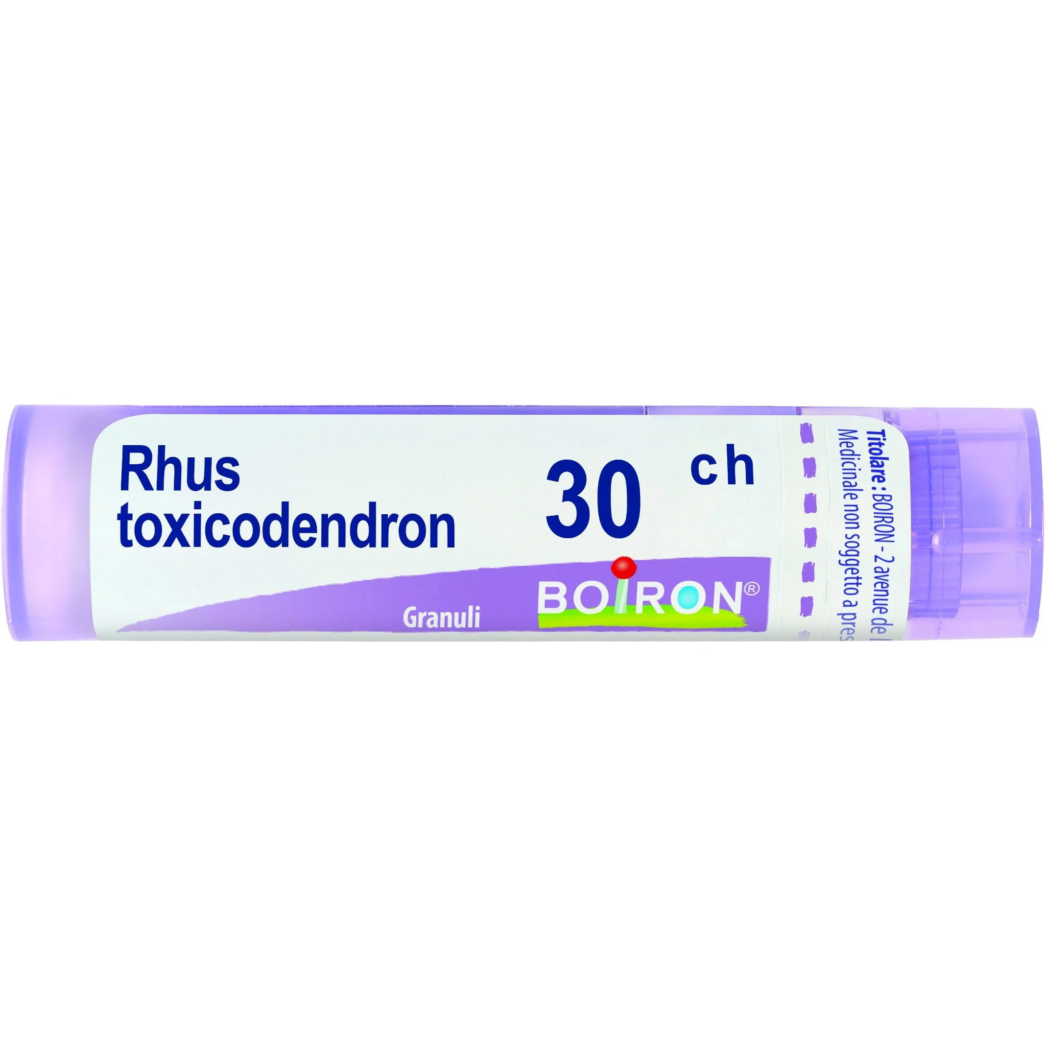 BOIRON Boiron Rhus Toxicodendron 30CH granulés médicament homéopathique 4 g