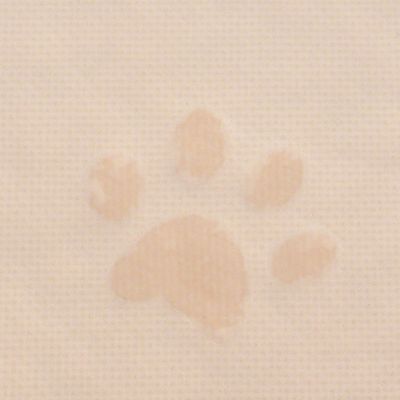 Kattenbakmat met pootafdruk
