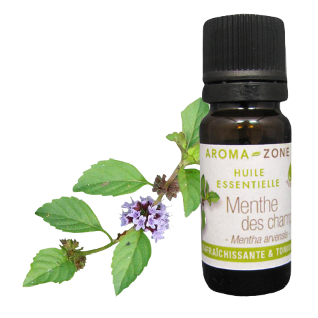 Huile essentielle Menthe des champs BIO 10ml