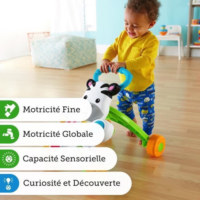Fisher-Price - My Talking Zebra Walker - Baby Walker - 6 months and up DLD96