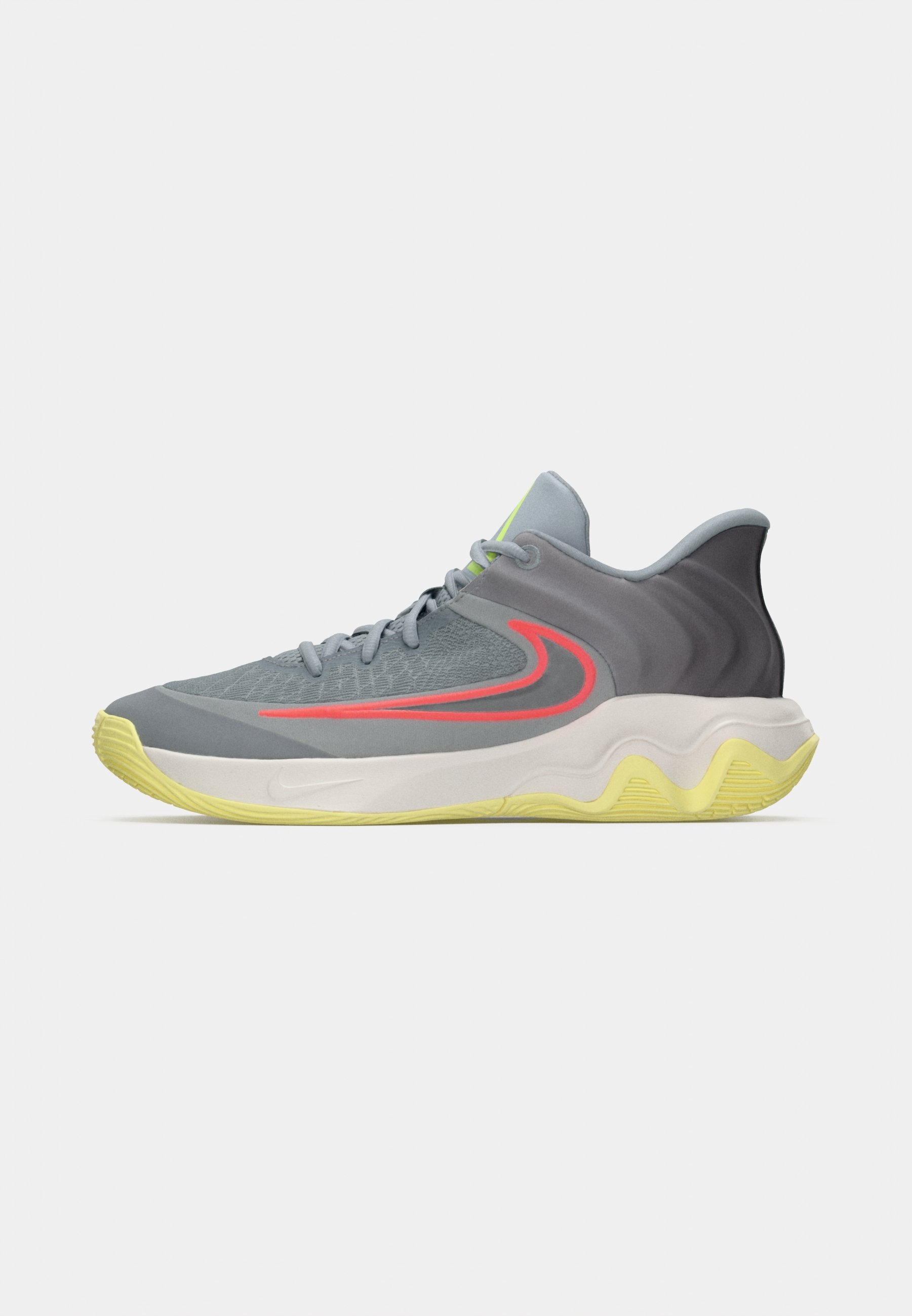 Chaussures de basketball Nike Performance GIANNIS IMMORTALITY 4 - Gris loup/argent métallisé/blanc sommet