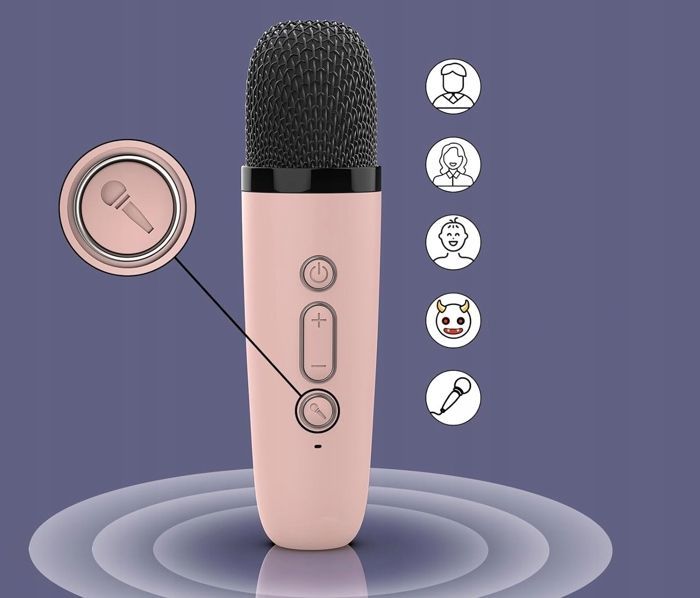 PORTABLE KARAOKE KIT WITH MICROPHONES, SPEAKERS, DIFFERENT VOICES FOR KIDS, AND LED LIGHTS