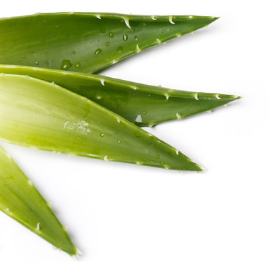 Wells Aloe Vera -vartalogeeli 500 ml 500 ml