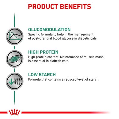 Royal Canin Vétérinaire Chat - Diabétique
